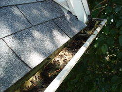 gutter cleaning bloomington il