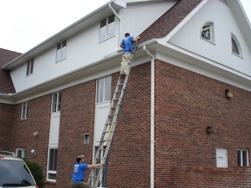 gutter cleaning in illinois